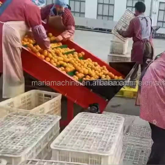 Online Wholesale Apple Orange Peach Tomato Potato Grading Fruit Sorting Machine